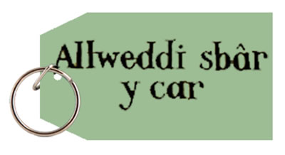 Allweddi sbar y car - the spare car keys