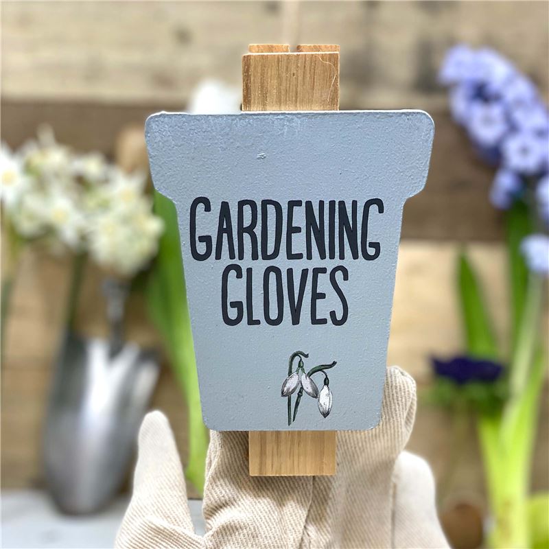 Order Heritage blue snowdrop gardening glove giant peg.