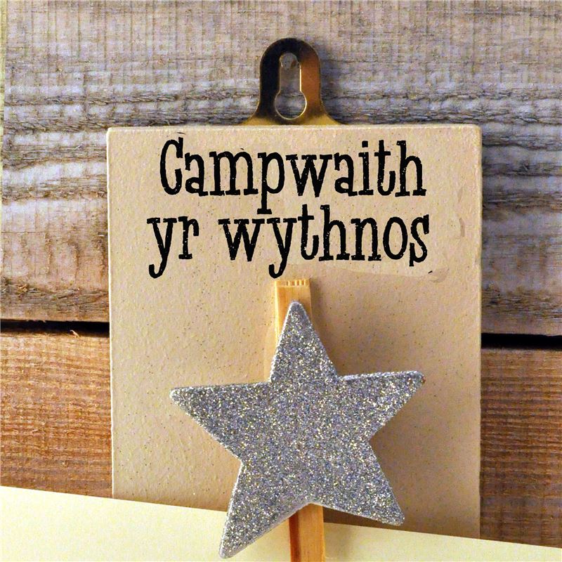 Order Hand Painted Wooden Peg:  Campwaith yr Wythnos (Silver Star)