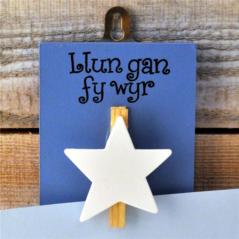 Order Hand Painted Wooden Peg:  Llun gan fy wyr