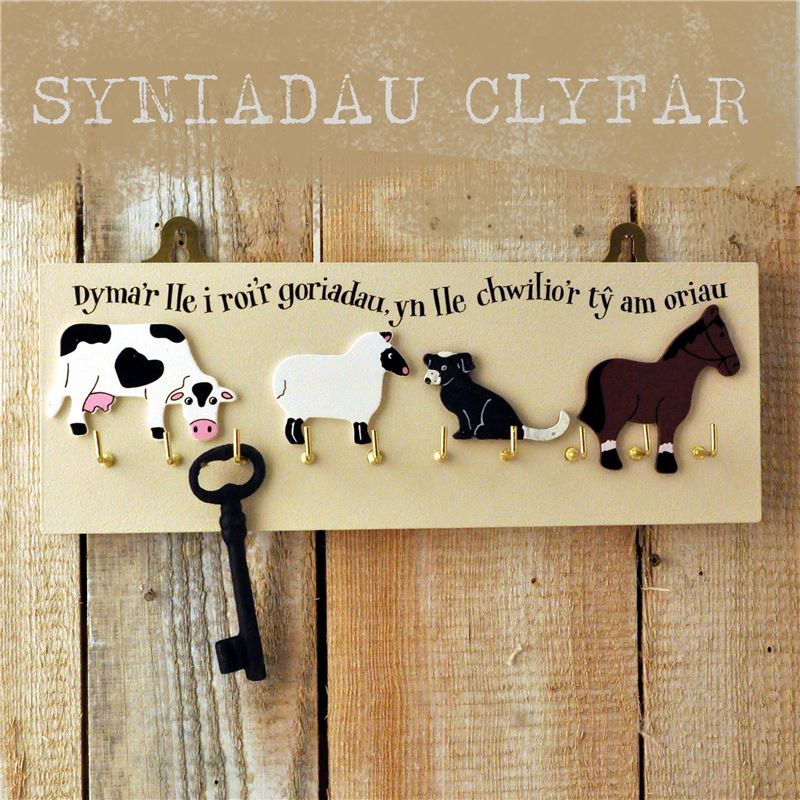 Order Dymar lle roi‘r goriadau…Here‘s a place to hang your keys…