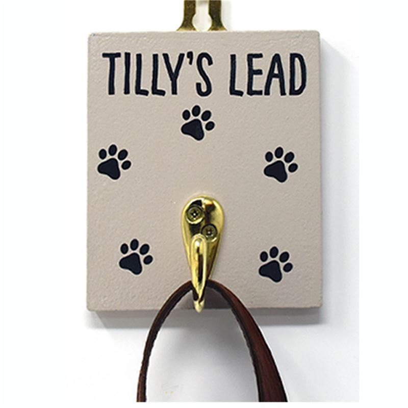 Order Personalised single hook dogs lead.