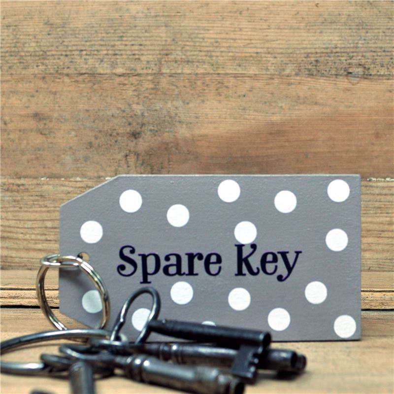 Spotty Spare Key