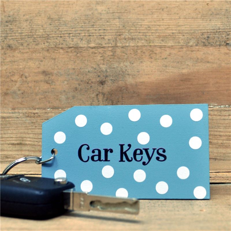 Spotty Car Keys