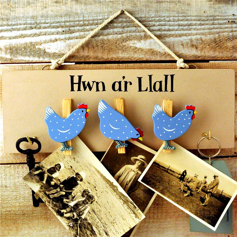Hwn a‘r Llall - ‘This and That‘  hen peg board